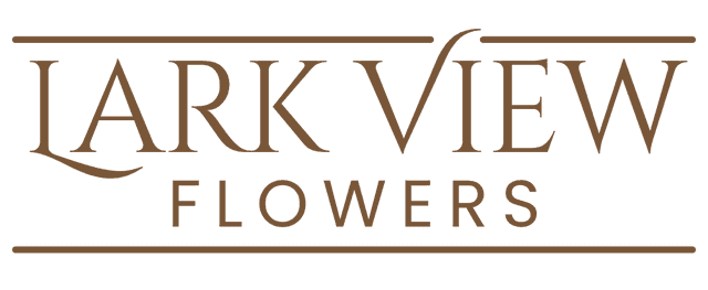 store_logo
